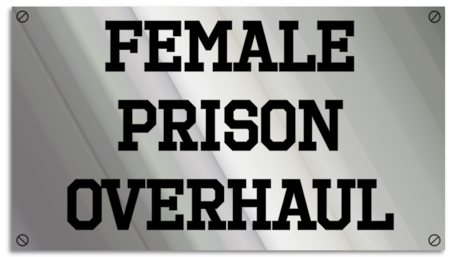 Female Prison Overhaul Saints Row Mods