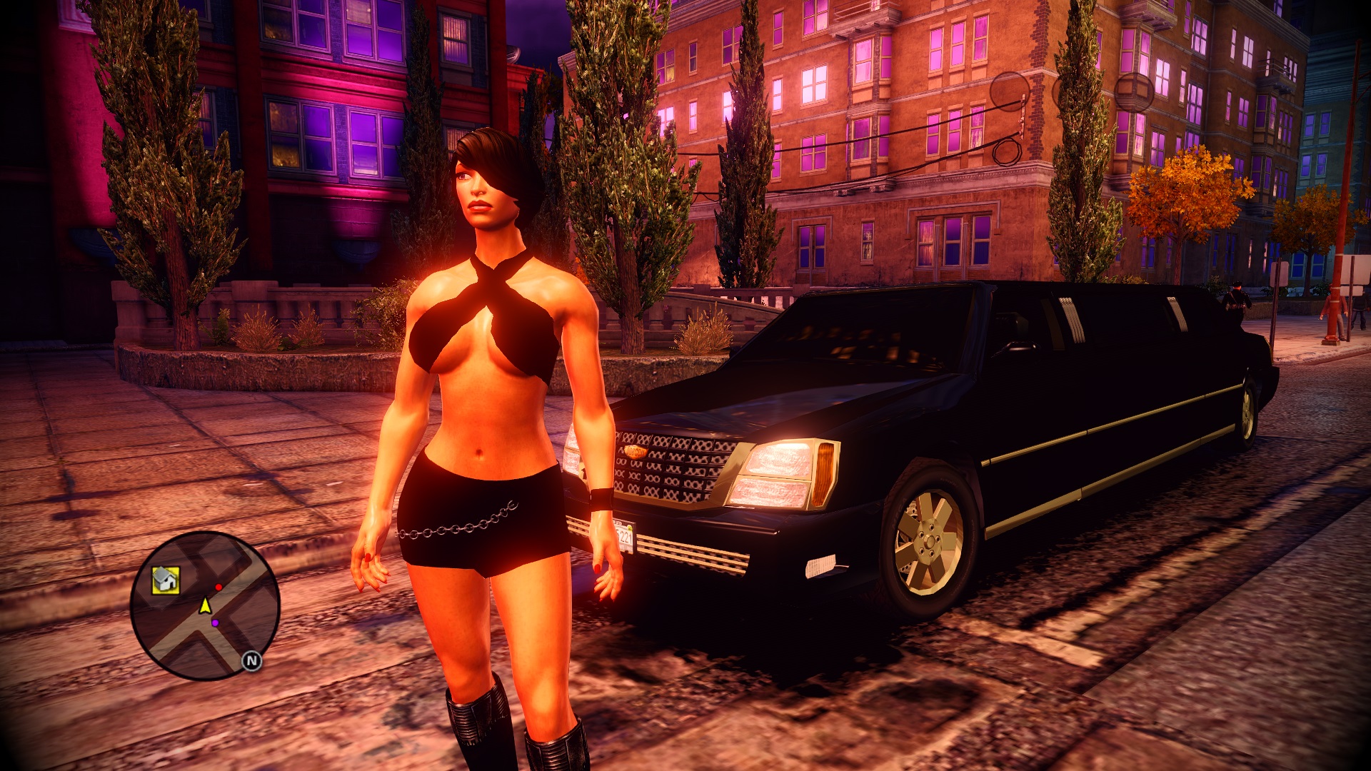 SAINTS ROW THE THIRD BETA 2009 Saints Row Mods