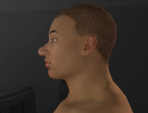 HumanisticSliders_7_BigBulbousNose.png