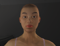 HumanisticSliders_15_StaticFaceMorph_Female.png