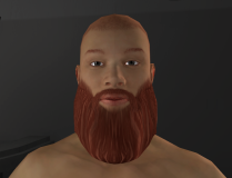 HumanisticSliders_16_BeardSclupting_1.png