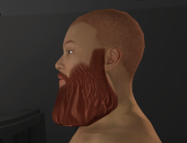 HumanisticSliders_18_BeardSclupting_3.png