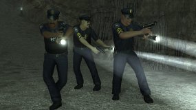 Police 5.jpg