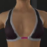 WomensHalterSwimtop_TwoColor_Fix.png