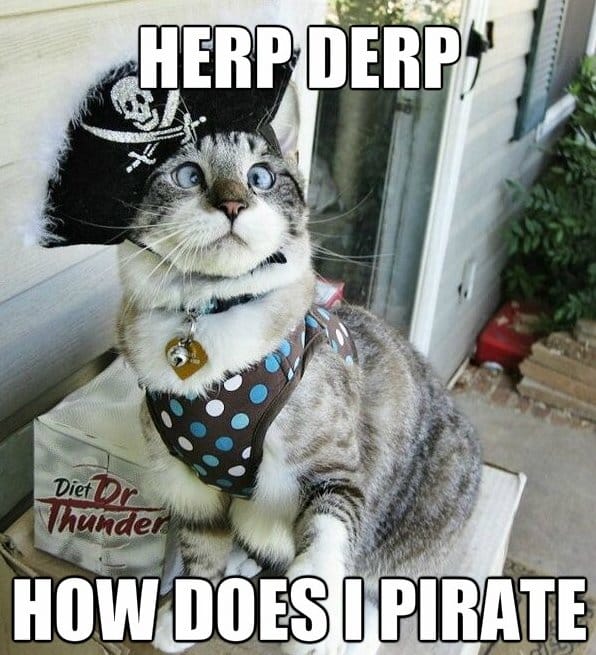 Best-MEME-2014-Pirate-Kitteh-LOL.jpg